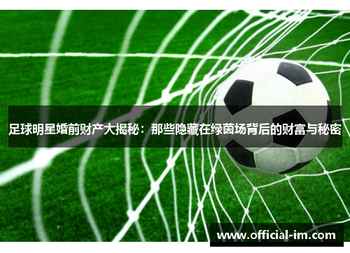 足球明星婚前财产大揭秘：那些隐藏在绿茵场背后的财富与秘密