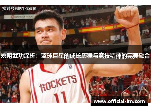 姚明武功深析：篮球巨星的成长历程与竞技精神的完美融合