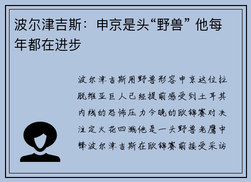 波尔津吉斯：申京是头“野兽” 他每年都在进步